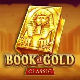 game logo by Playson on chanz.uk.com