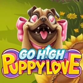 game logo by RubyPlay on chanz.uk.com